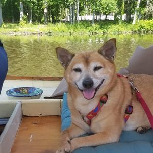 Meet your Posher, Tracy